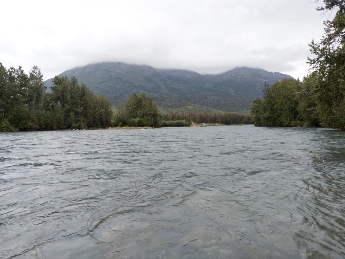 The wide green water of the Kenai River flowing past forested banks toward a low mountain