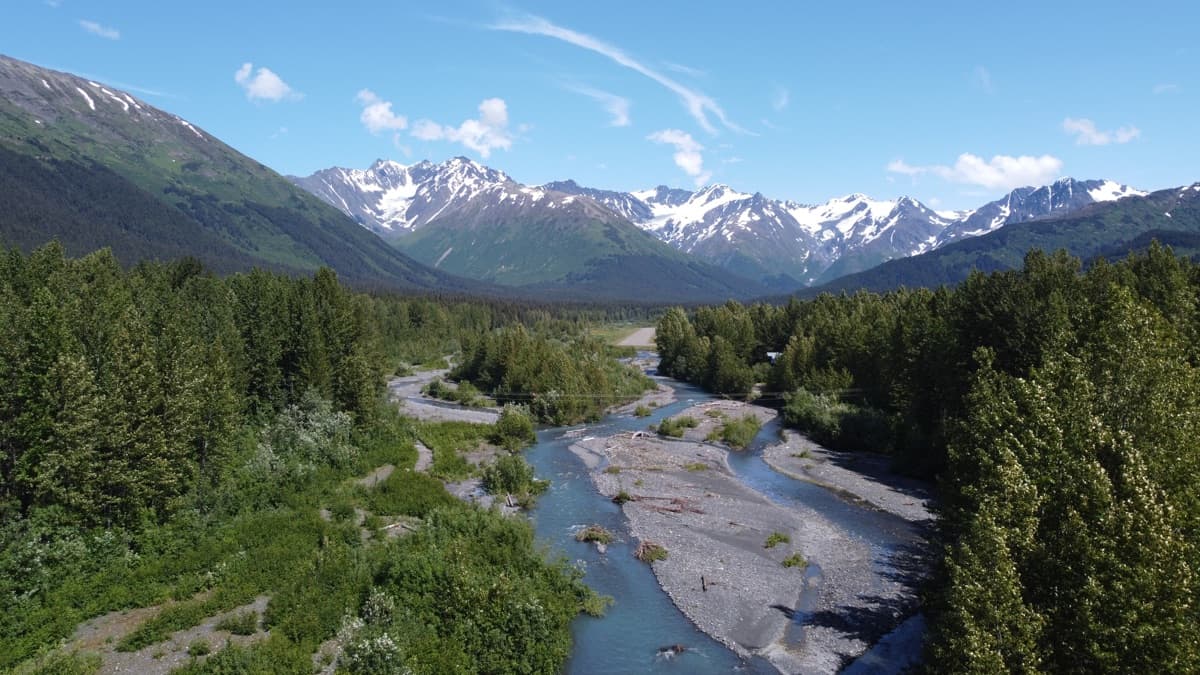 A braided river running through a green forested valley below snow-capped peaks