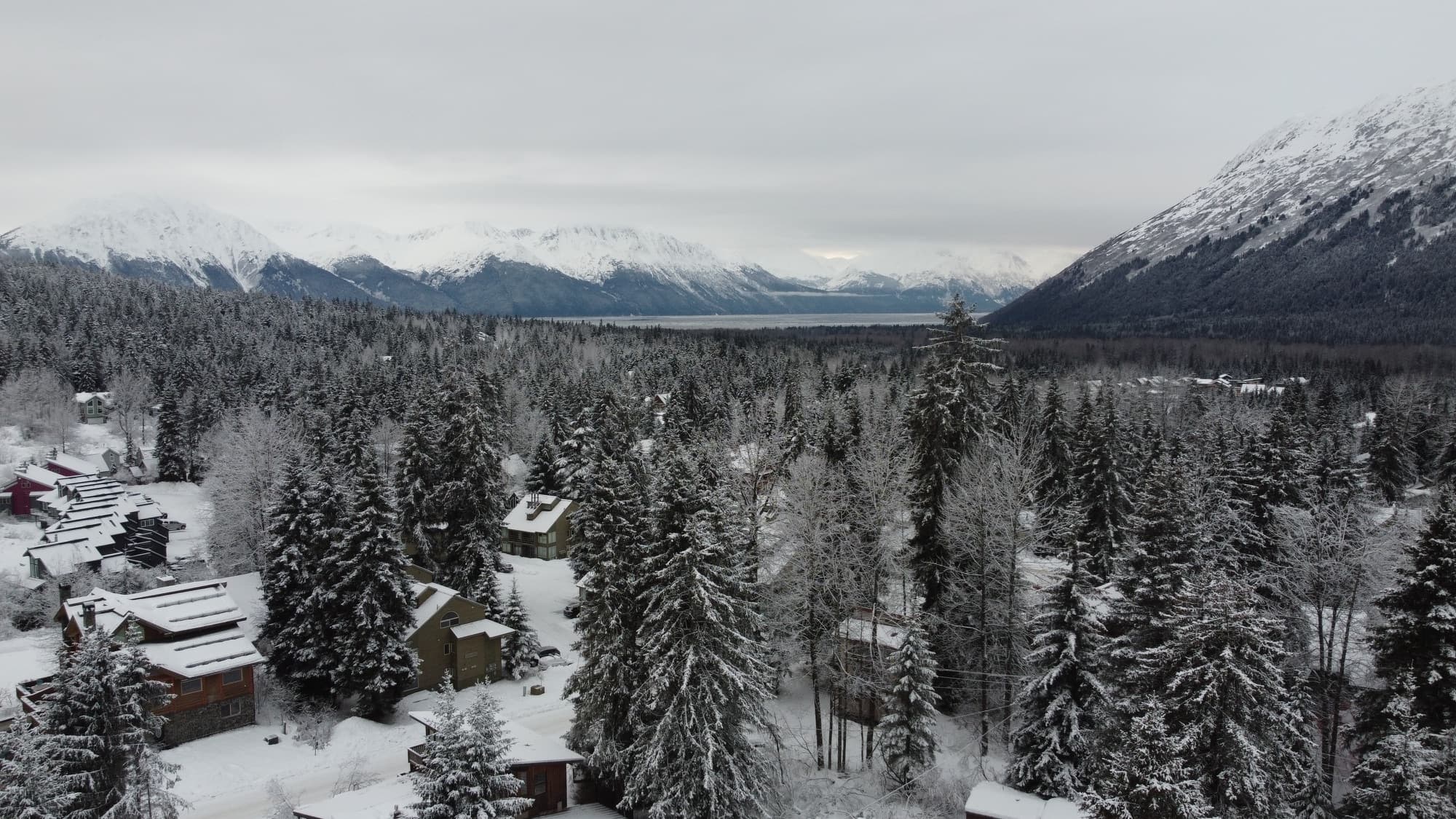 Snow-covered Girdwood homes among the trees with Turnagain Arm and the mountains beyond in winter