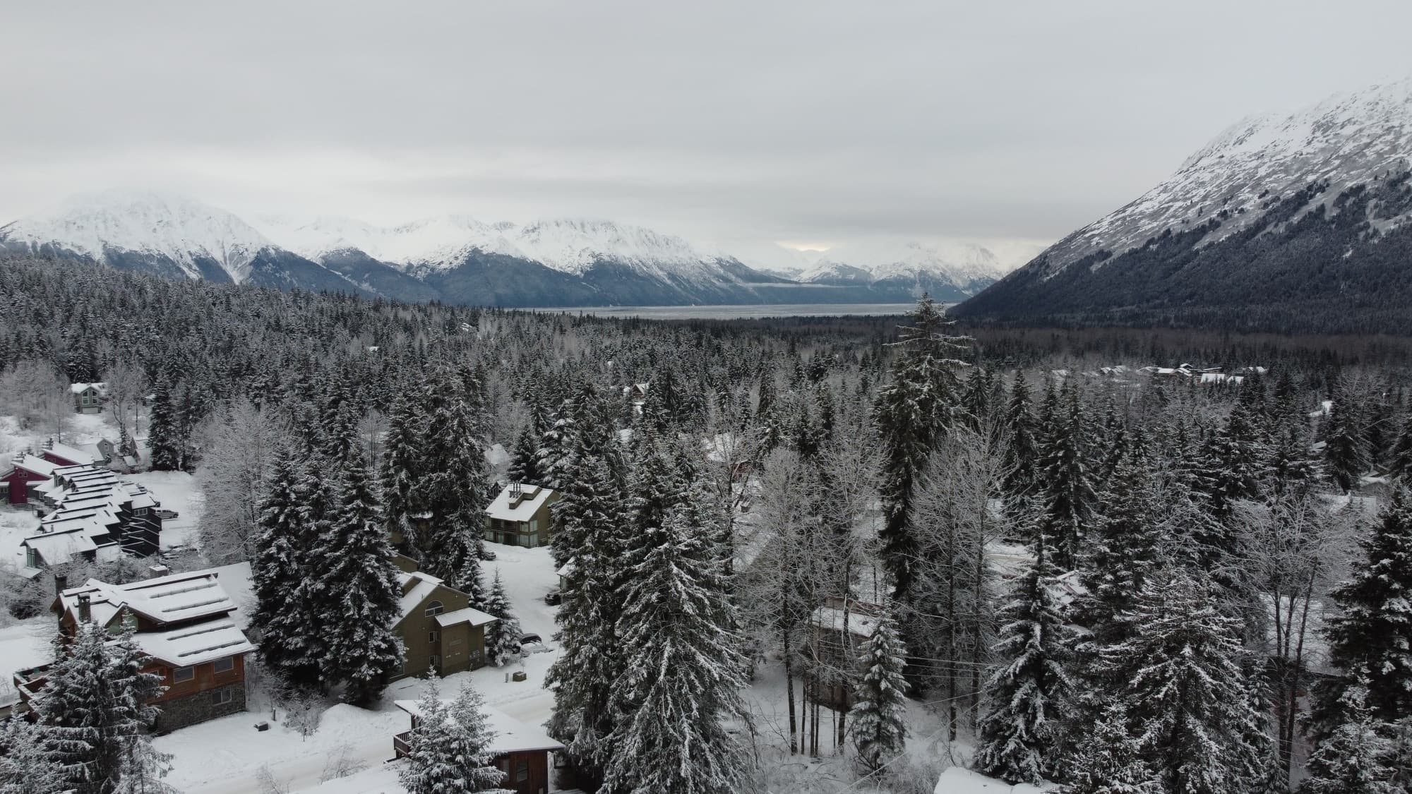 Snow blanketing the spruce forest of Girdwood with the Chugach Mountains above Turnagain Arm
