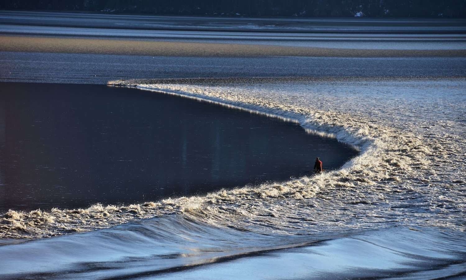 A surfer riding the Turnagain Arm bore tide